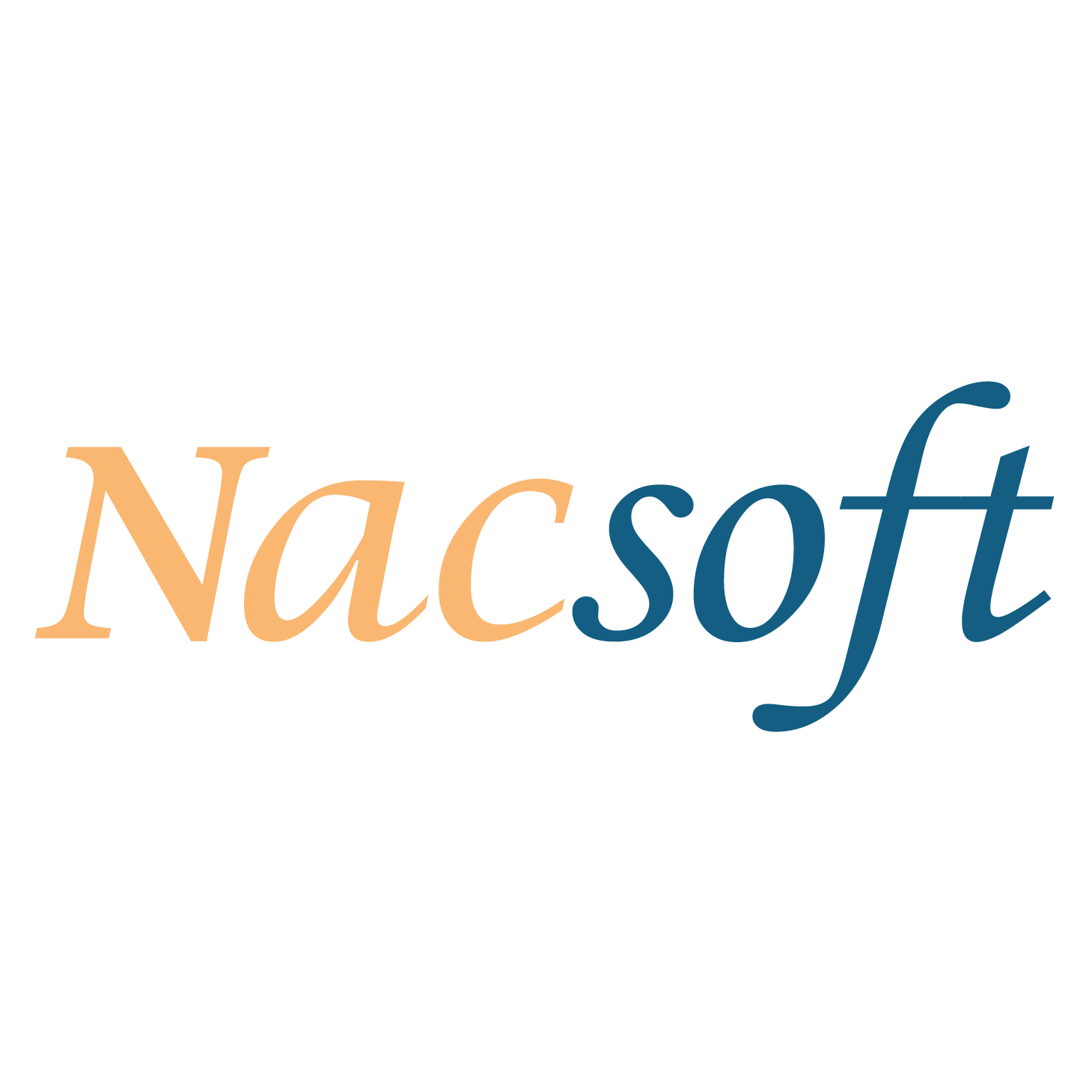nacsoft-logo-big